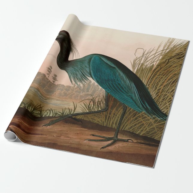 Papier Cadeau Grue bleue ou Heron Birds of America Audubon Impri (Déroulé)