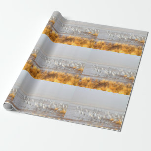 Papier Cadeau Grues brumeuses de Sandhill