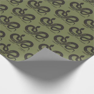Papier Cadeau Harry Potter   SLYTHERIN™ Silhouette Typographie