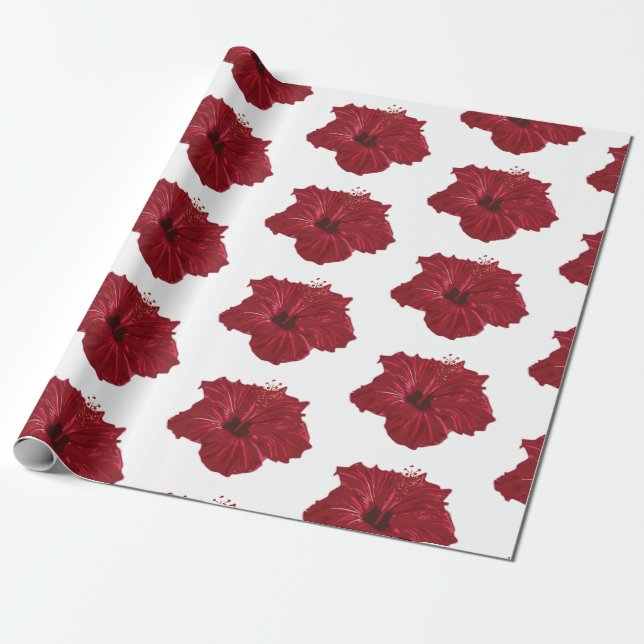 Papier Cadeau Hawaii (Déroulé)