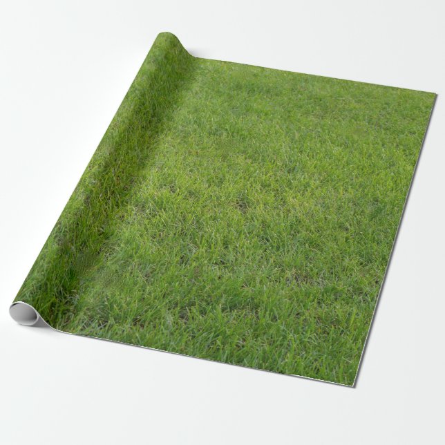 Papier Cadeau Herbe, (Déroulé)