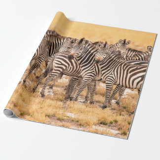 PAPIER CADEAU HERBE DE ZEBRAS