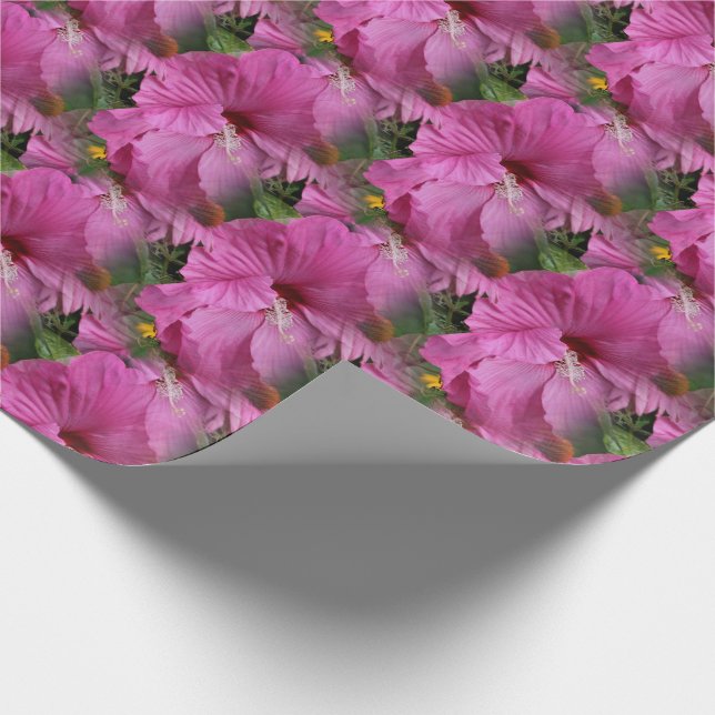 Papier Cadeau Hibiscus rose nature (Coin)