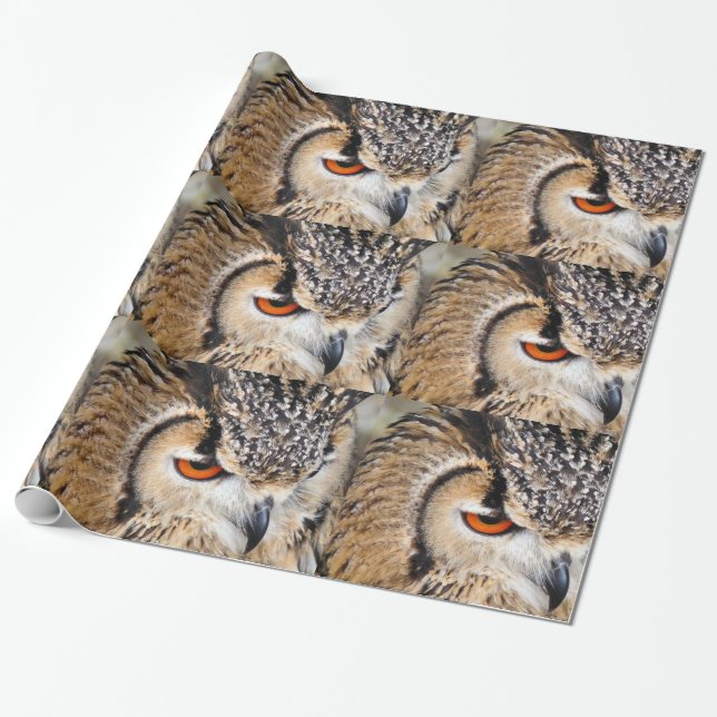 PAPIER CADEAU HIBOU (Déroulé)