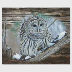 Papier Cadeau Hibou