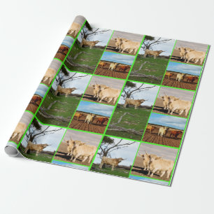 Papier Cadeau Highland Cow Trois photos,