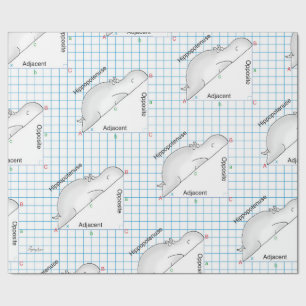 Papier Cadeau HIPPOPOTENUSE par Sandra Boynton