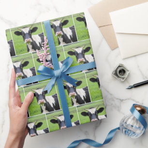 Papier Cadeau Holstein Bull Dans Green Pasture
