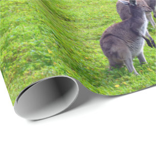 Papier Cadeau Horizons sans limites : Kangaroos gris sur la plai