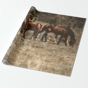 Papier Cadeau Horse Farm Pays Vintage Russe Ouest