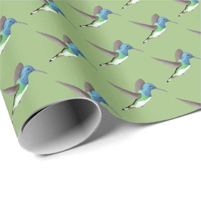 Papier Cadeau Hovering Jacobin Hummingbird - transparent. (Coin rond)