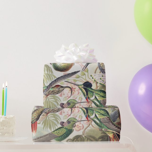 Papier Cadeau Hummingbird Bird Wildlife Classic Painting (Cadeaux de fête)