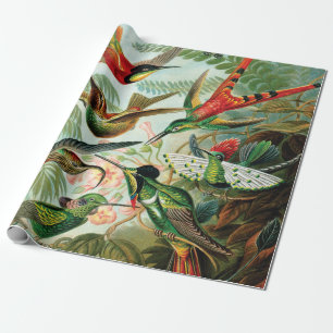 Papier Cadeau Hummingbirds par Ernst Haeckel