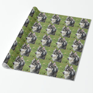 Papier Cadeau Husky