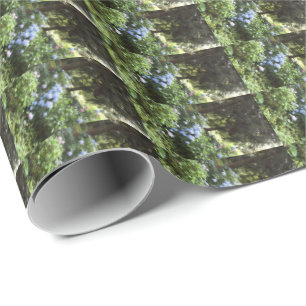 Papier Cadeau Hydrangea Floral Trees Nature Photographie
