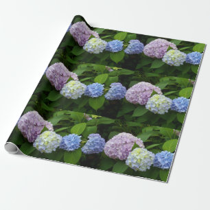 Papier Cadeau Hydrangée