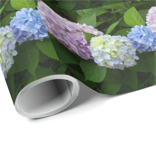 Papier Cadeau Hydrangées florales florales florales