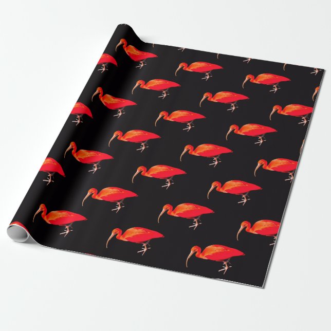 Papier Cadeau Ibis écarlet (Déroulé)