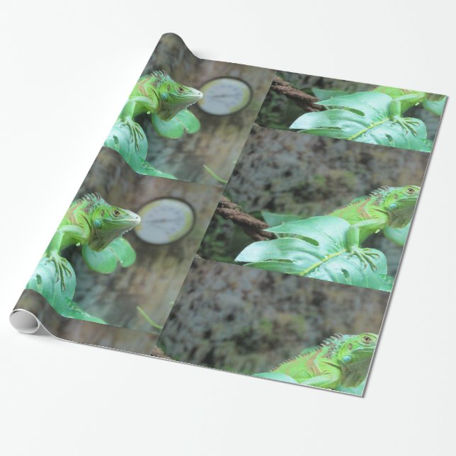 Papier Cadeau iguane vert (Déroulé)