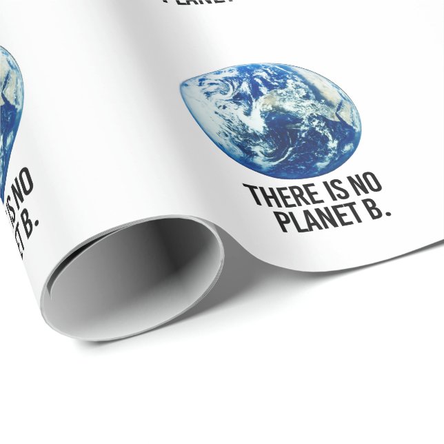 Papier Cadeau Il n'y a pas de planète B (Coin rond)
