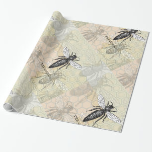 Papier Cadeau Illustration Antique d'Insecte de Bourdon Reine Ab