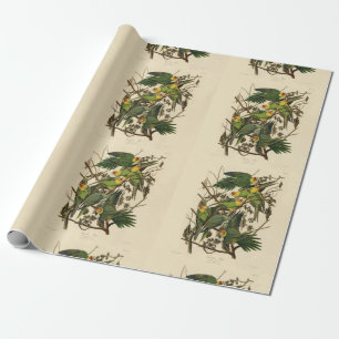 Papier Cadeau Illustration Audubon Carolina Parrot Bird