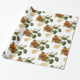 Papier Cadeau Illustration botanique de poire vintage