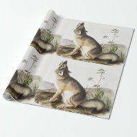 Illustration de Fox (Vulpes velox)