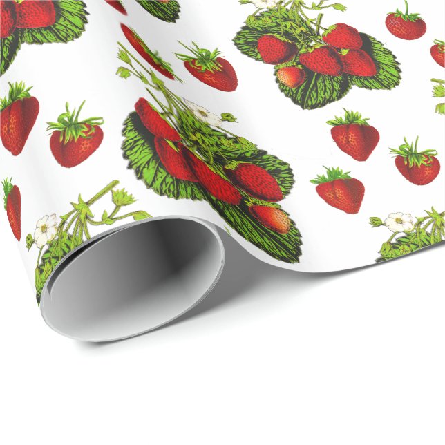 Papier Cadeau Illustration de fraise botanique Imprimer sur blan (Coin rond)