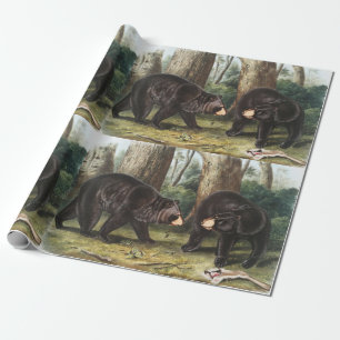 Papier Cadeau Illustration de l'ours noir américain Ursus Ameri