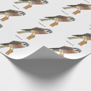 Papier Cadeau Illustration d'oiseau américain Kestrel