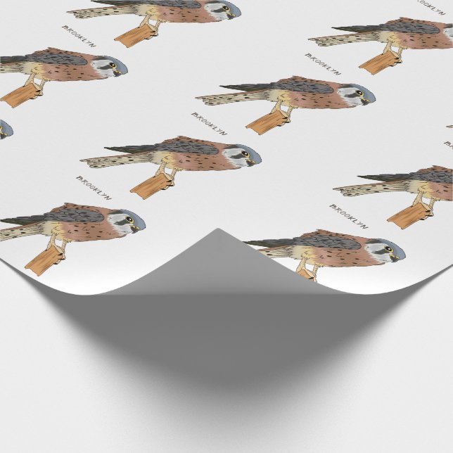 Papier Cadeau Illustration d'oiseau américain Kestrel (Coin)
