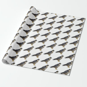 Papier Cadeau Illustration d'oiseau de faucon pèlerin