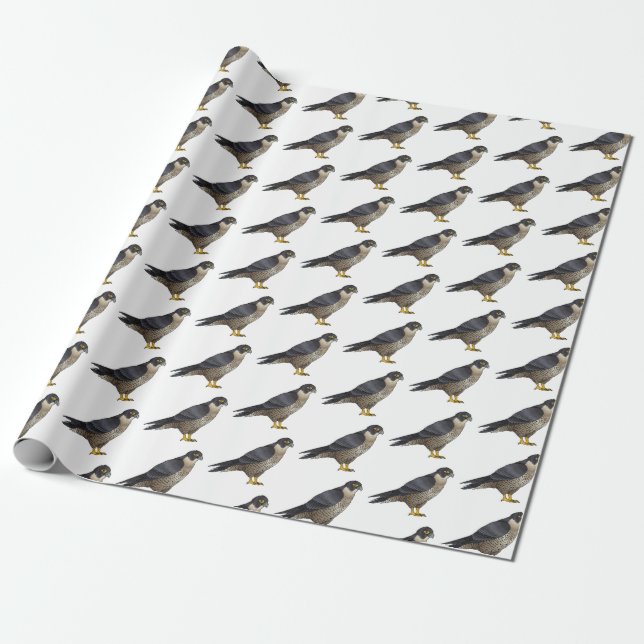 Papier Cadeau Illustration d'oiseau de faucon pèlerin (Déroulé)