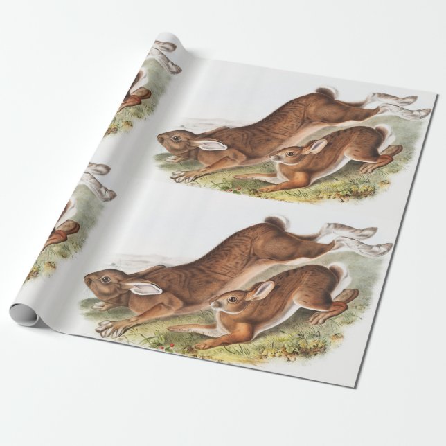 Papier Cadeau Illustration du lièvre du Nord (Lepus Americanus) (Déroulé)