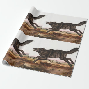 Papier Cadeau Illustration du loup noir américain (Canis lupus)