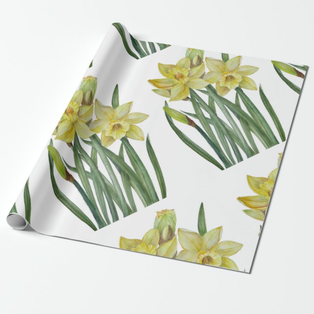 Papier Cadeau Illustration du portrait des jonquilles d'aquarell (Déroulé)