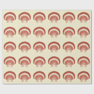 Papier Cadeau Illustration Nautique de Coquille Saint-Jacques Ro