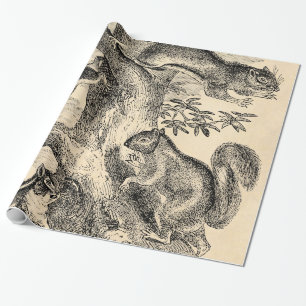 Papier Cadeau Illustration vintage d'écureuils de 1800s -
