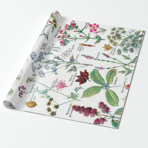 Papier Cadeau Illustrations botaniques