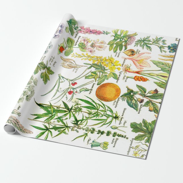 Papier Cadeau Illustrations botaniques (Déroulé)
