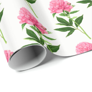 Papier Cadeau Impression Botanique vintage, Peine Rose Pastel