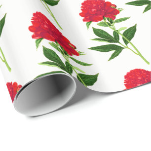 Papier Cadeau Impression Botanique vintage, Peine Rouge Profonde