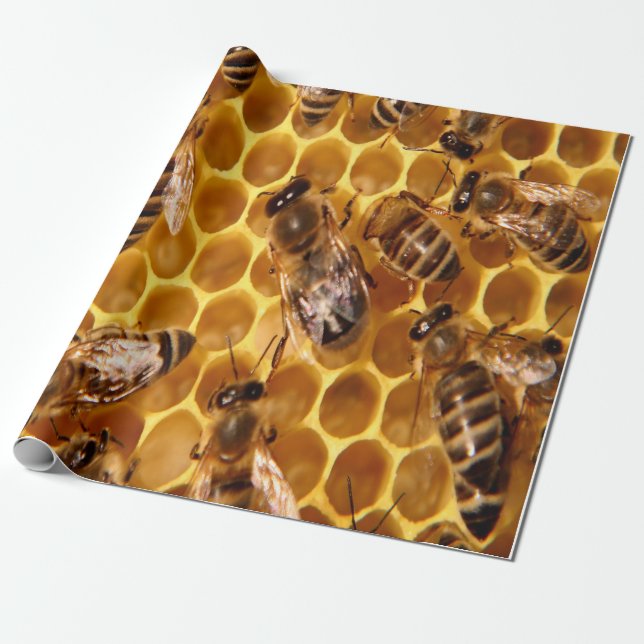 Papier Cadeau Impression d'abeilles miel (Déroulé)