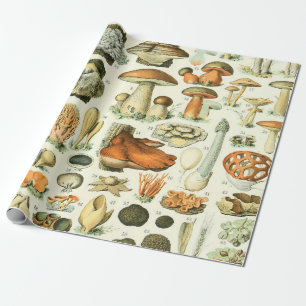 Papier Cadeau Imprimer Champignon de l'ampoule d'Adolphe