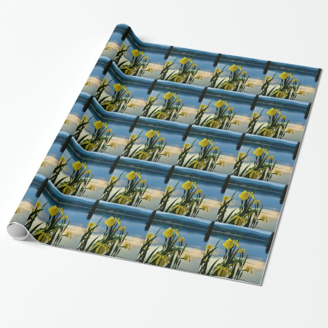 Papier Cadeau Iris jaune à Lake Shore (Déroulé)