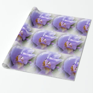 Papier Cadeau iris pourpre