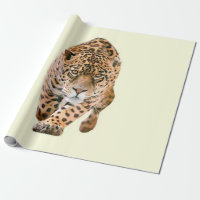 Jaguar Eyes