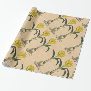 Papier Cadeau Jardin botanique de tulipe Amaryllis Fleur