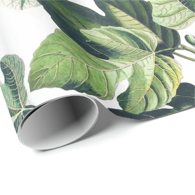 Papier Cadeau Jardin de figue (Coin rond)